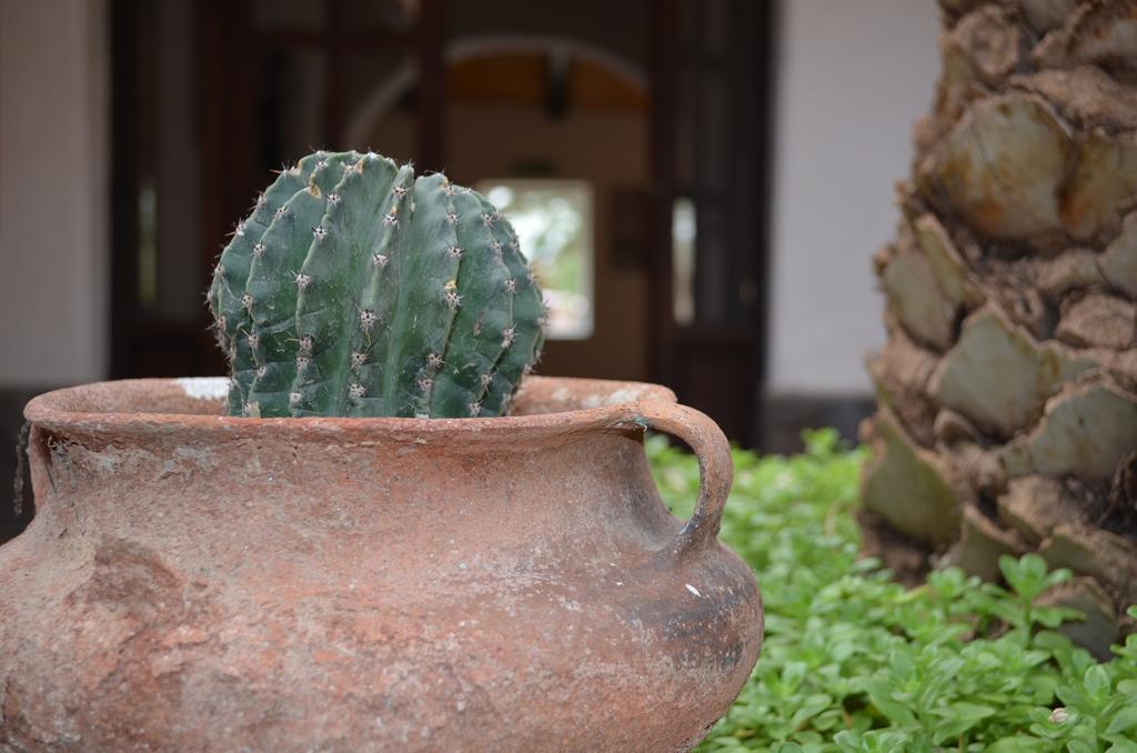 Finca El Carmen Angastaco Eksteriør billede