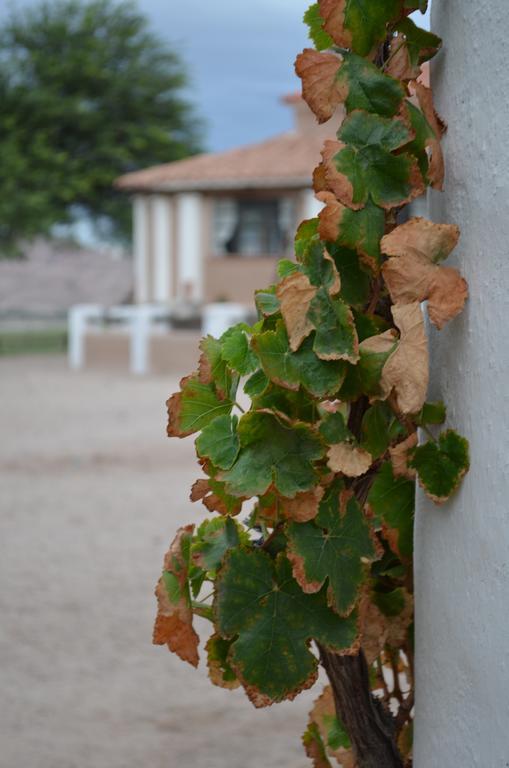 Finca El Carmen Angastaco Eksteriør billede