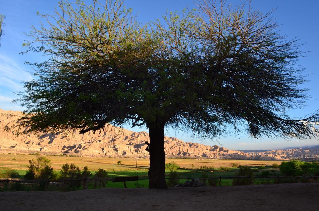 Finca El Carmen Angastaco Eksteriør billede